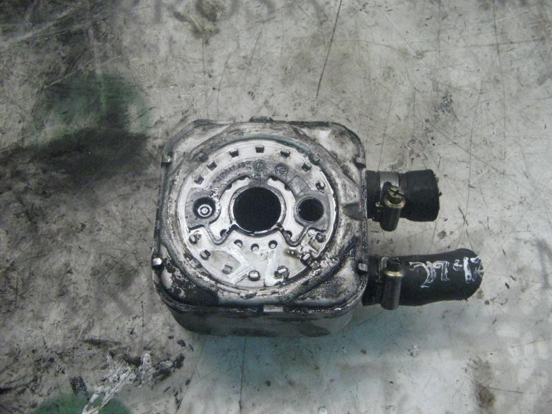 Recambio de enfriador aceite motor para seat ibiza (6k) gt referencia OEM IAM   