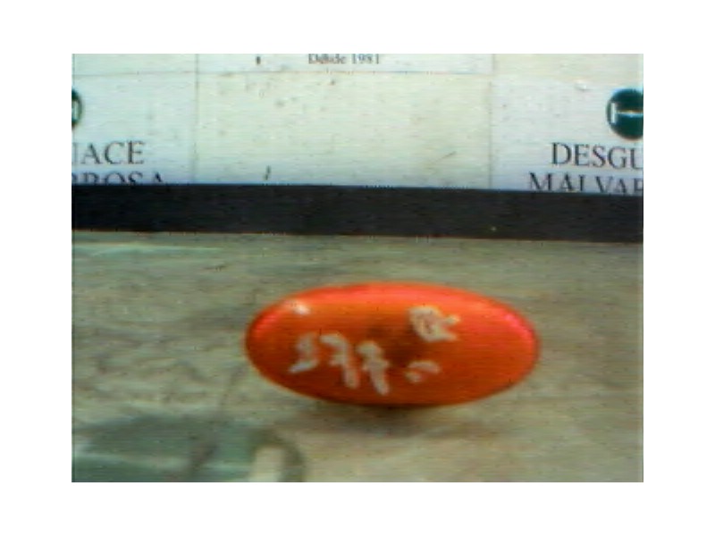 Recambio de piloto lateral derecho para fiat punto berl. (176) 1.1 referencia OEM IAM   