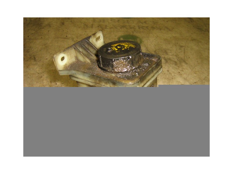 Recambio de deposito servo para fiat brava (182) 1.4 12v cat referencia OEM IAM 7768644  