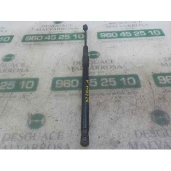 AMORTIGUADORES MALETERO / PORTON 