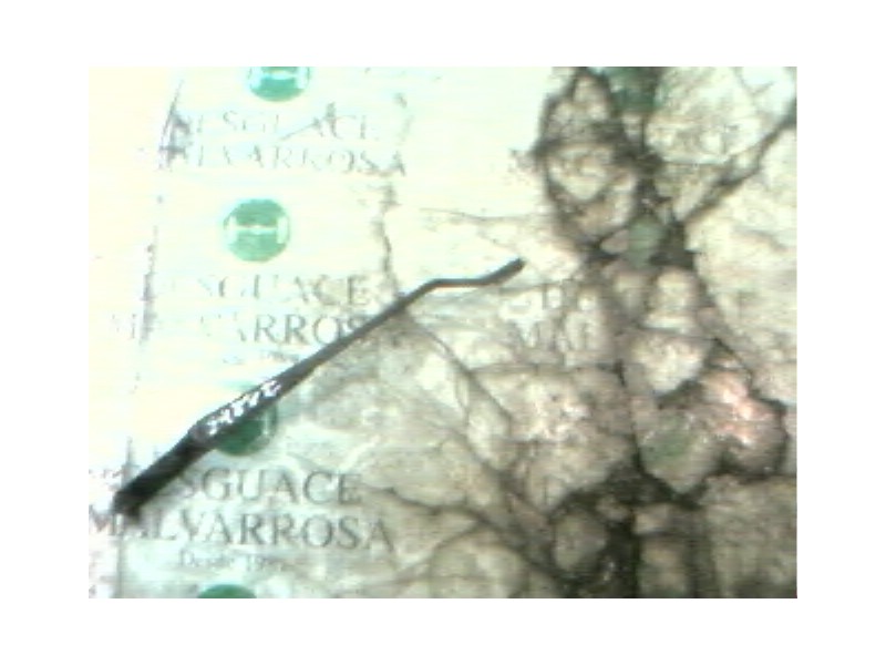 Recambio de brazo limpia delantero izquierdo para seat ibiza (6k1) 1.9 tdi referencia OEM IAM   