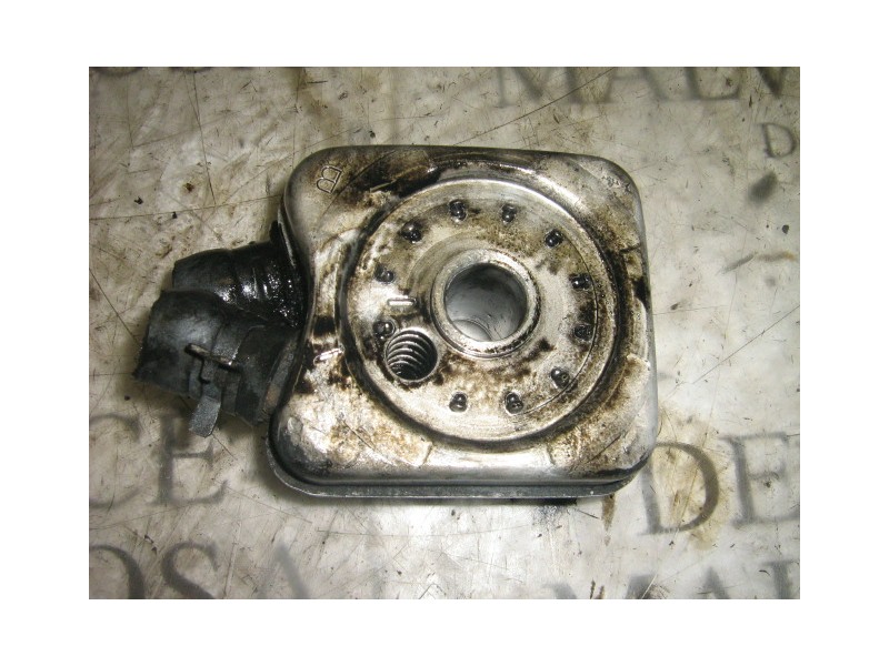 Recambio de enfriador aceite motor para seat ibiza (6k) 1.9 diesel (1y) referencia OEM IAM   
