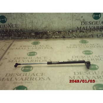 AMORTIGUADORES MALETERO / PORTON 