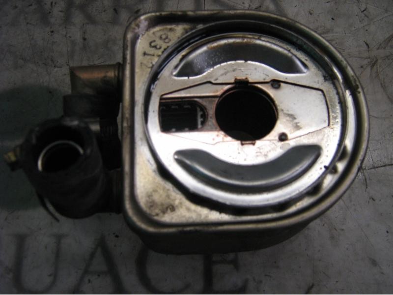 Recambio de enfriador aceite motor para seat ibiza (6k) 1.9 diesel (1y) referencia OEM IAM   