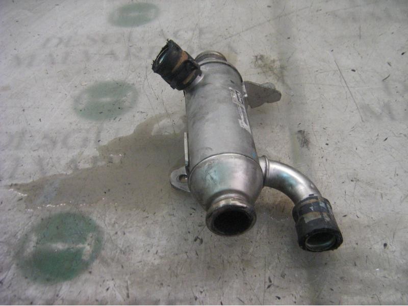 Recambio de enfriador egr para citroën xsara berlina 2.0 hdi exclusive (80kw) referencia OEM IAM   