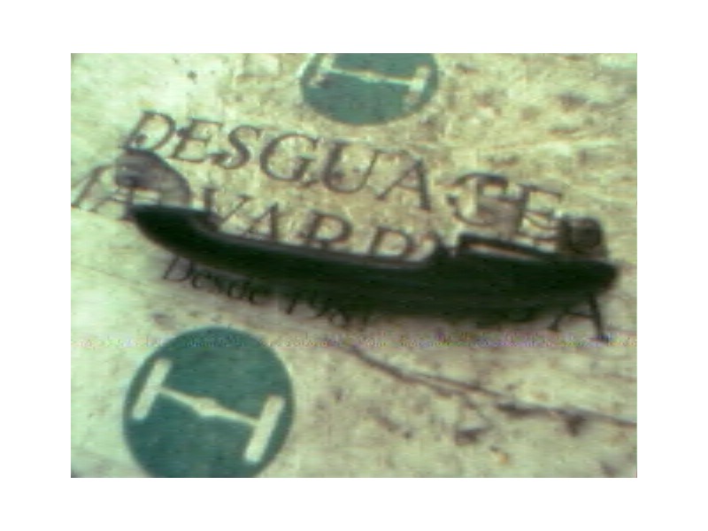 Recambio de maneta exterior trasera izquierda para seat ibiza (6k1) 1.9 sdi referencia OEM IAM   