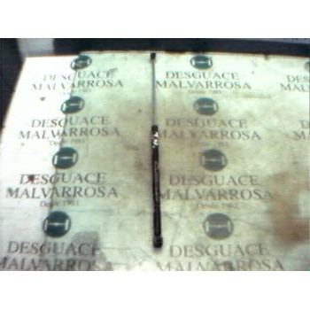 AMORTIGUADORES MALETERO / PORTON 