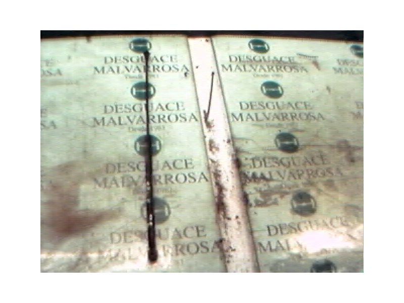 Recambio de amortiguadores maletero / porton para citroën bx berlina tzd turbo tecnic referencia OEM IAM   