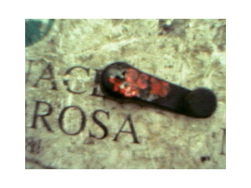 Recambio de maneta elevalunas trasera derecha para seat ibiza (6k1) 1.9 sdi referencia OEM IAM   