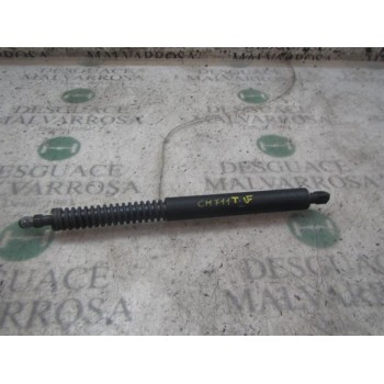 AMORTIGUADORES MALETERO / PORTON 