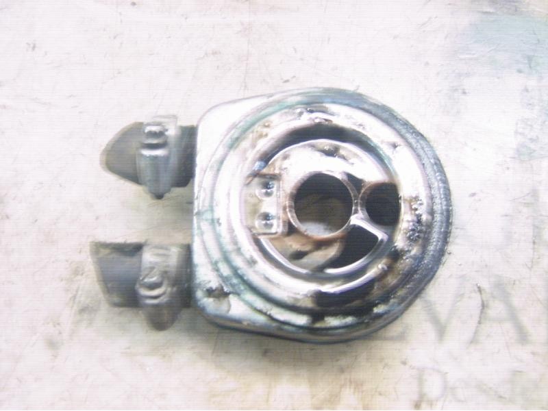 Recambio de enfriador aceite motor para tata indica idi referencia OEM IAM   