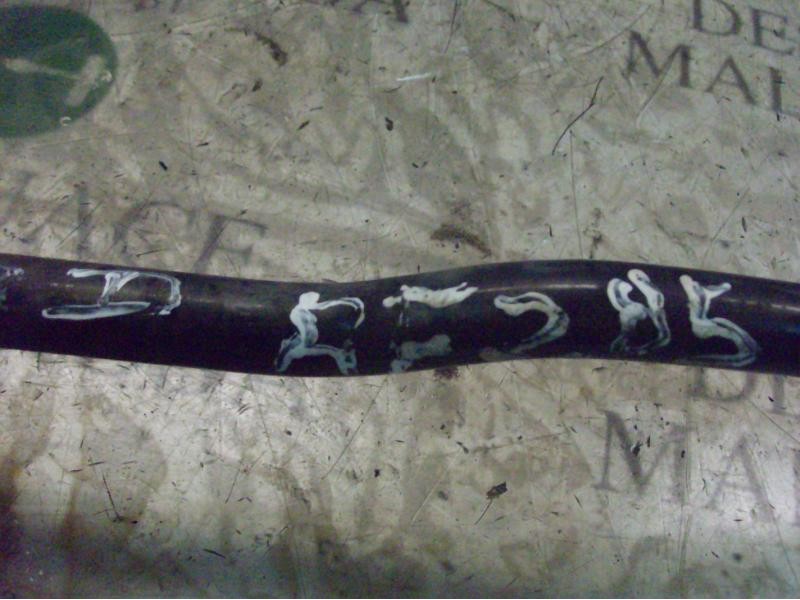 Recambio de barra estabilizadora delantera para ford focus turnier (cak) ghia referencia OEM IAM   