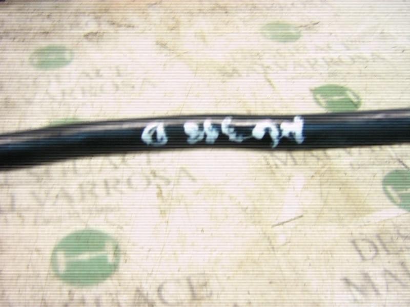 Recambio de barra estabilizadora delantera para citroën xsara picasso 2.0 hdi referencia OEM IAM   