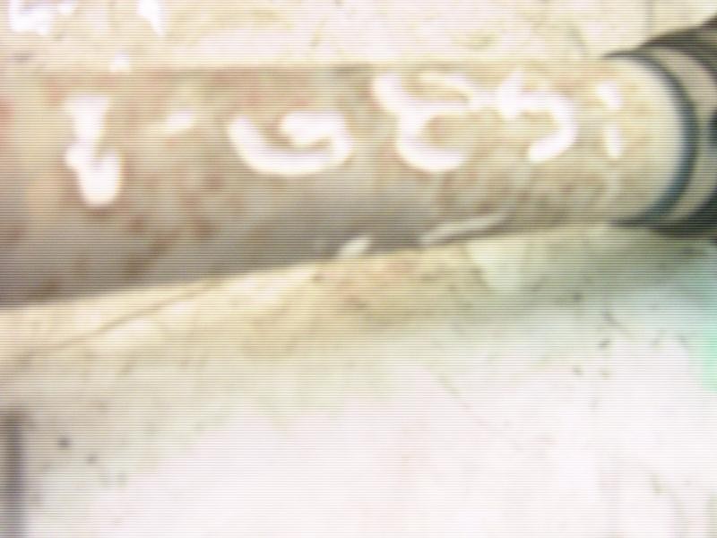 Recambio de transmision izquierda para citroën xsara coupe 2.0 hdi vtr referencia OEM IAM   