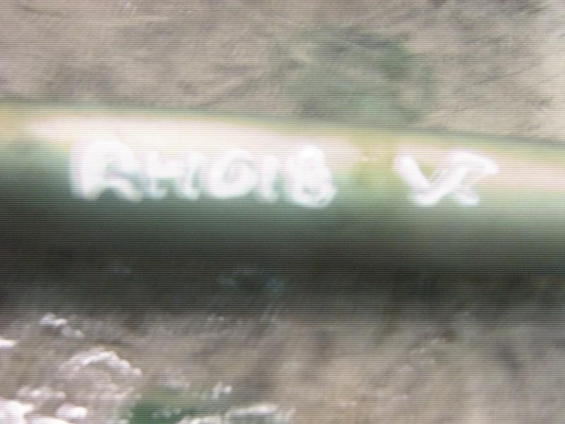 Recambio de amortiguador de direccion para citroën xsara picasso 2.0 hdi referencia OEM IAM   