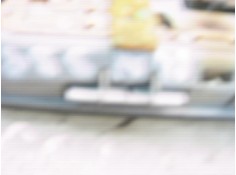 Recambio de piloto interior para renault laguna ii (bg0) confort authentique referencia OEM IAM    2