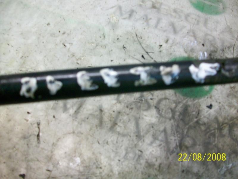 Recambio de barra estabilizadora delantera para ford fiesta (cbk) ghia referencia OEM IAM   