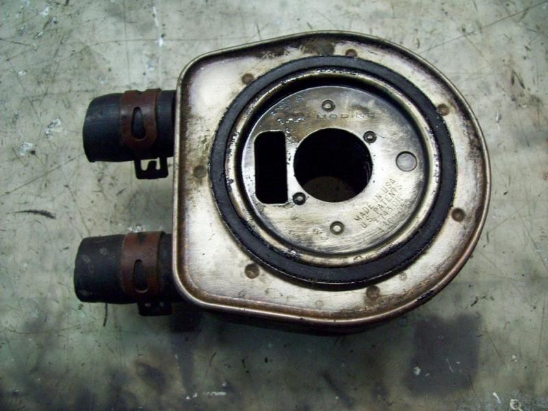 Recambio de enfriador aceite motor para renault laguna ii (bg0) authentique referencia OEM IAM   