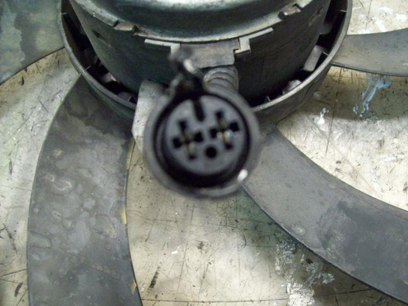 Recambio de electroventilador para seat ibiza (6k) 1.9 diesel (1y) referencia OEM IAM   