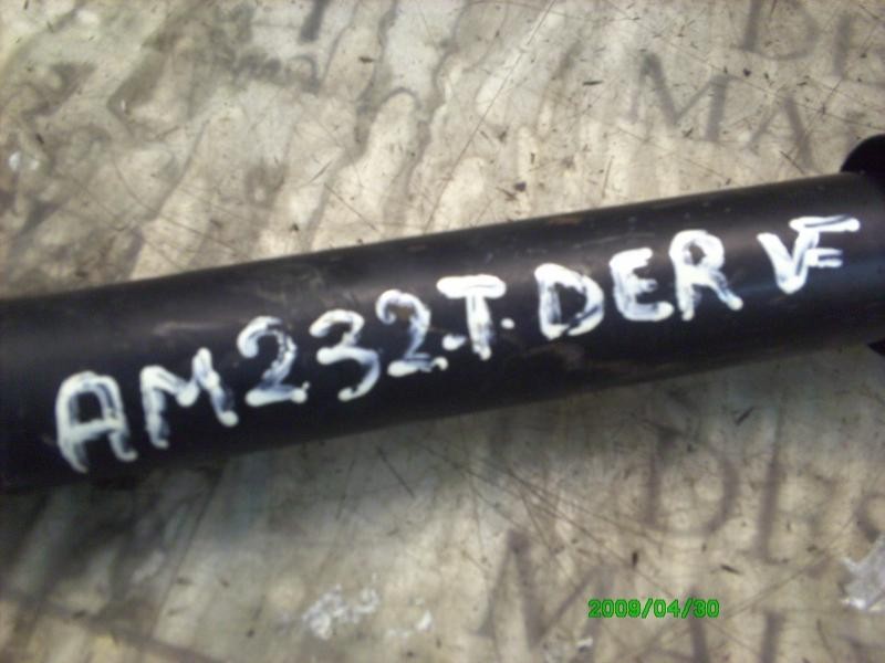 Recambio de amortiguador trasero derecho para renault scenic ii confort dynamique referencia OEM IAM   