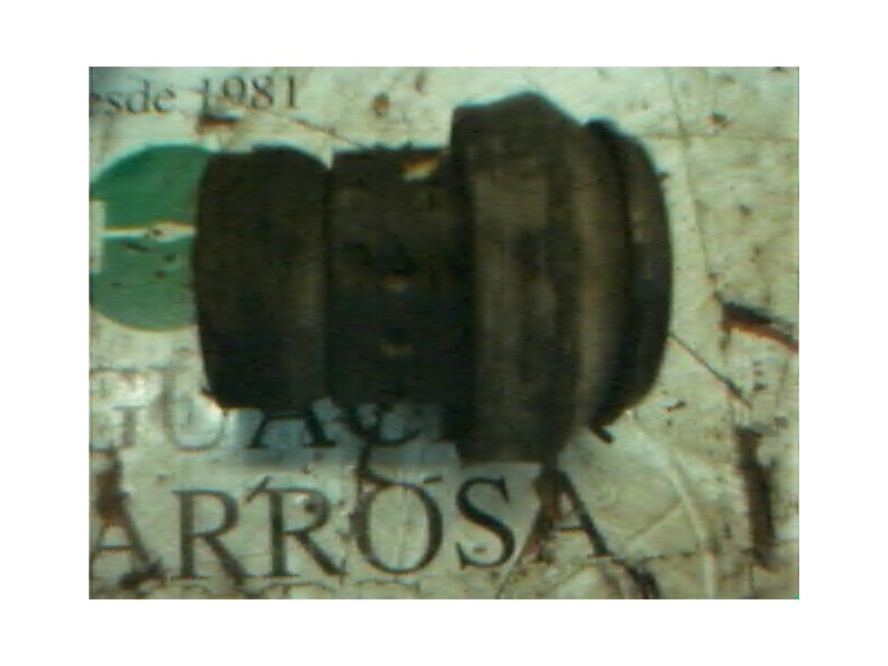 Recambio de soporte motor trasero para seat ibiza (6k) clx referencia OEM IAM   