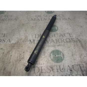 AMORTIGUADORES MALETERO / PORTON 