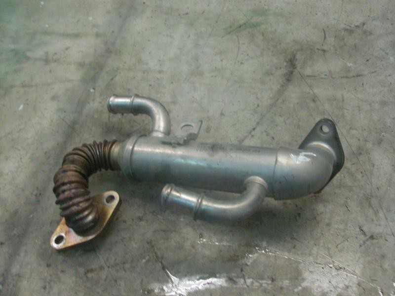 Recambio de enfriador egr para skoda fabia (6y2/6y3) comfort line referencia OEM IAM   