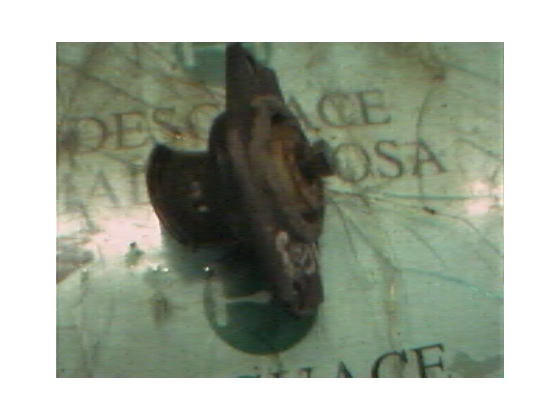 Recambio de soporte motor para fiat brava (182) 1.9 turbodiesel referencia OEM IAM   