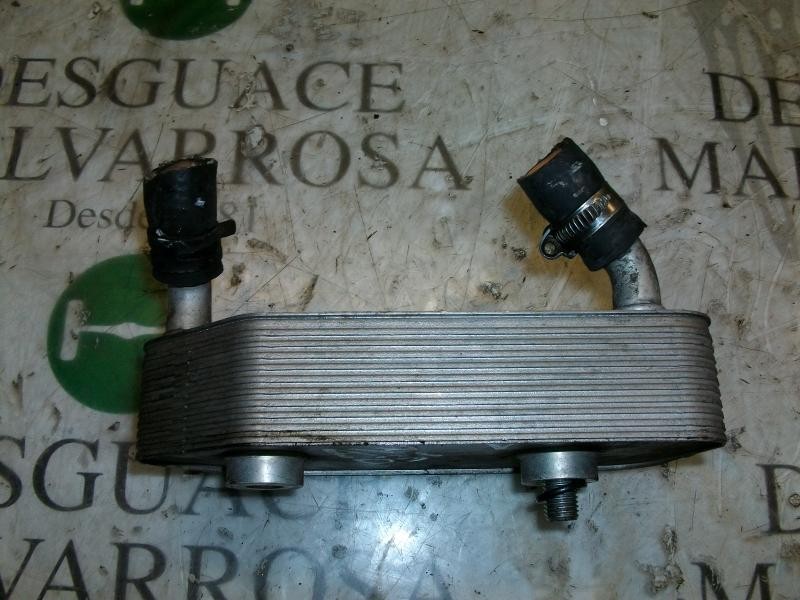 Recambio de enfriador aceite motor para volkswagen golf iv berlina (1j1) highline referencia OEM IAM   