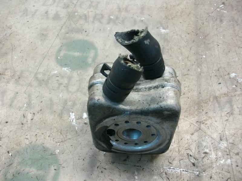 Recambio de enfriador aceite motor para seat ibiza (6l1) sport referencia OEM IAM   