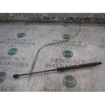 AMORTIGUADORES MALETERO / PORTON 51812267 