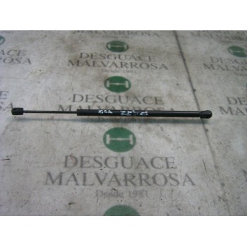 AMORTIGUADORES MALETERO / PORTON 