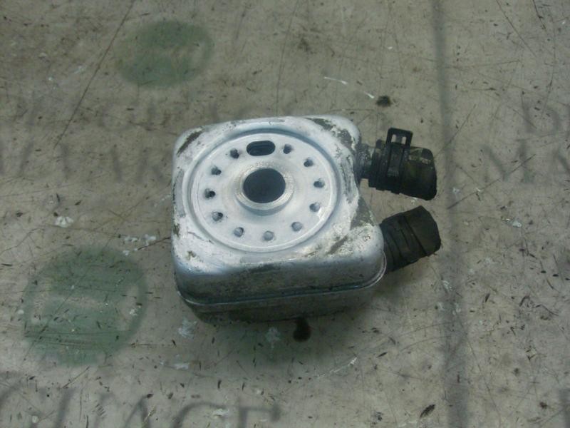 Recambio de enfriador aceite motor para seat ibiza (6l1) cool referencia OEM IAM   