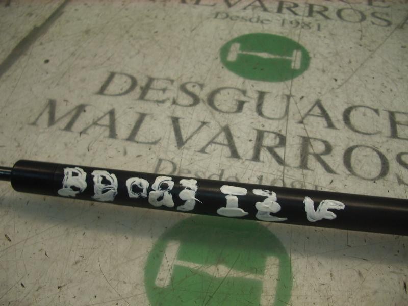 Recambio de amortiguador capot para volkswagen bora berlina (1j2) conceptline referencia OEM IAM   