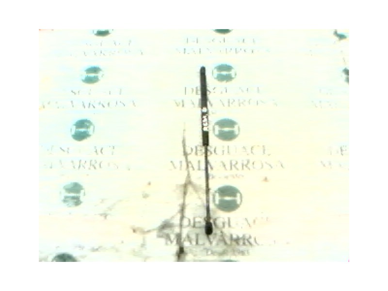 Recambio de amortiguador capot para jaguar xj 3.2 executive referencia OEM IAM   