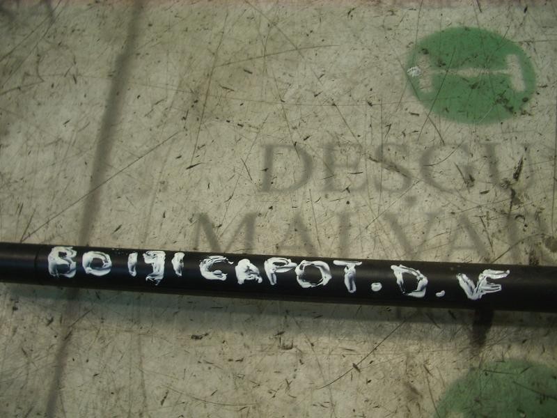 Recambio de amortiguador capot para seat toledo (1m2) signo referencia OEM IAM   