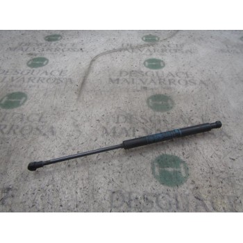 AMORTIGUADORES MALETERO / PORTON 