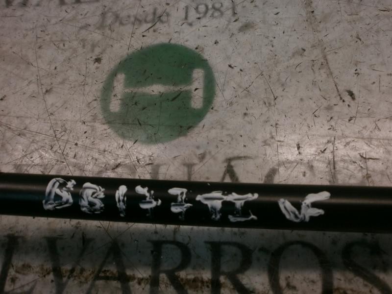 Recambio de amortiguadores maletero / porton para chevrolet aveo ls referencia OEM IAM   