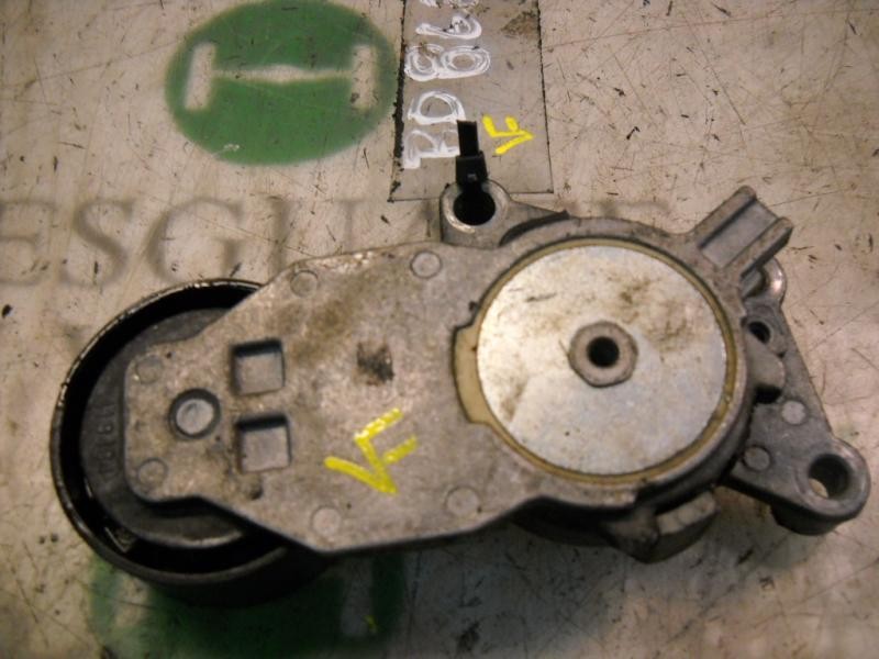 Recambio de tensor correa auxiliar para ford fiesta (cbk) ghia referencia OEM IAM   