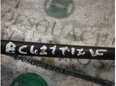 Recambio de amortiguadores maletero / porton para ford fiesta (cbk) futura referencia OEM IAM    2