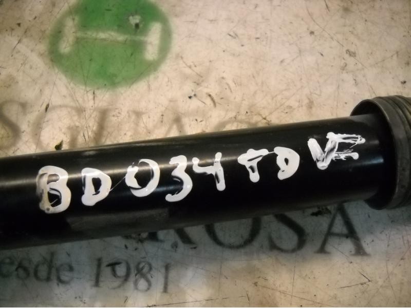 Recambio de amortiguador trasero derecho para citroën c3 exclusive referencia OEM IAM 5206VW  