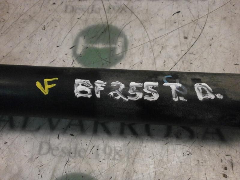 Recambio de amortiguador trasero derecho para citroën c4 coupe collection referencia OEM IAM   