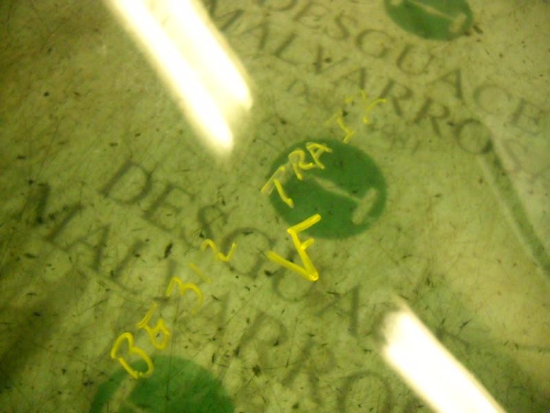 Recambio de cristal puerta trasero izquierdo para mg streetwise 1.4 referencia OEM IAM   