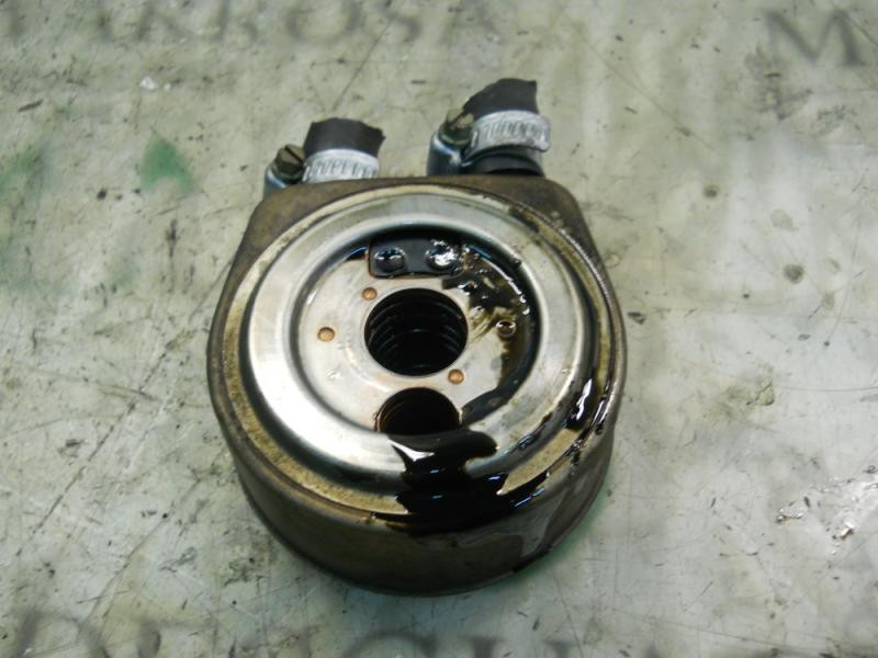 Recambio de enfriador aceite motor para mitsubishi carisma berlina 5 (da0) 1900 di-d avance referencia OEM IAM   