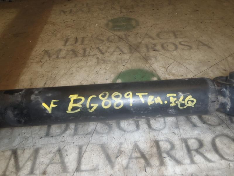 Recambio de amortiguador trasero izquierdo para seat ibiza (6l1) 1.9 tdi referencia OEM IAM   