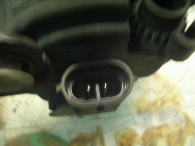 Recambio de faro antiniebla derecho para renault laguna ii (bg0) privilege referencia OEM IAM   