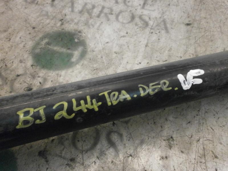 Recambio de amortiguador trasero derecho para ford focus berlina (cap) titanium referencia OEM IAM   