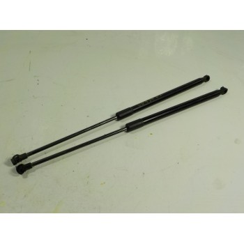 AMORTIGUADORES MALETERO / PORTON 