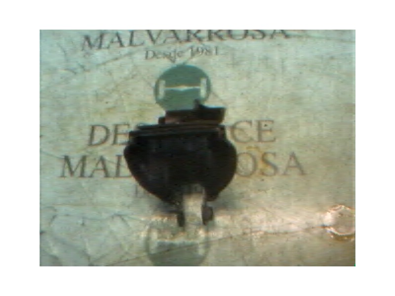 Recambio de soporte cambio para mg serie 25 (rf) classic (3-ptas.) referencia OEM IAM   