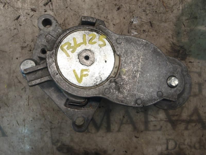 Recambio de tensor correa auxiliar para peugeot 207 x-line referencia OEM IAM   
